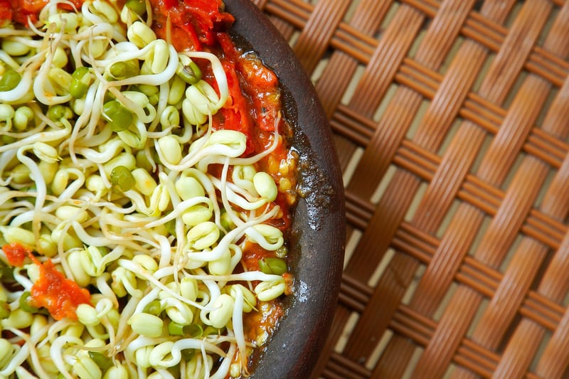 Gourmet Recipes
